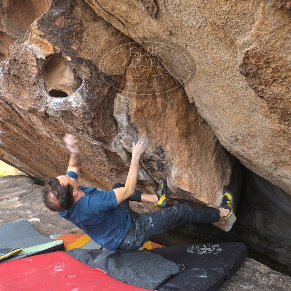 

Filename: SRM_20251128_1405050.jpg
Aperture: f/4.0
Shutter Speed: 1/160
Body: Canon EOS R6
Lens: Canon EF 16-35mm f/2.8 L