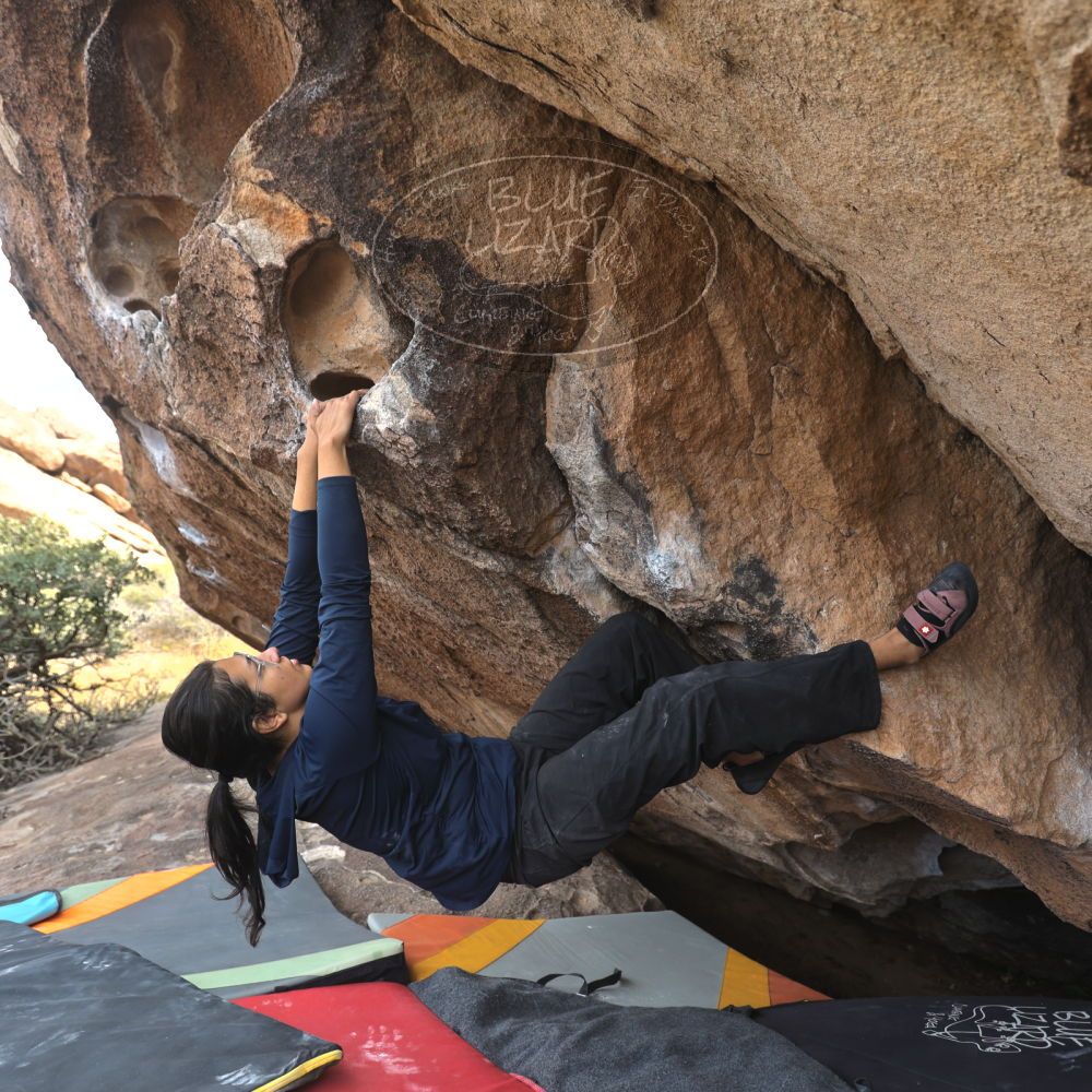 

Filename: SRM_20251128_1410060.jpg
Aperture: f/4.0
Shutter Speed: 1/200
Body: Canon EOS R6
Lens: Canon EF 16-35mm f/2.8 L