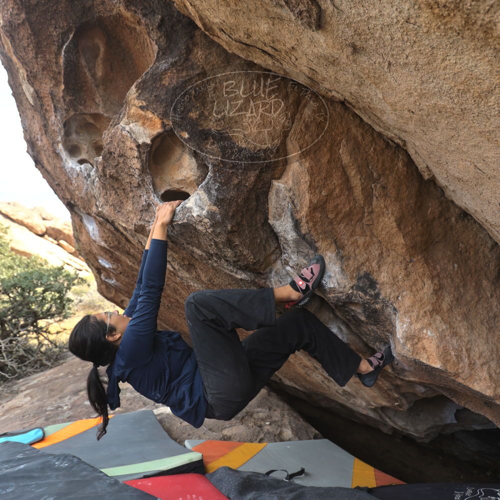 

Filename: SRM_20251128_1410100.jpg
Aperture: f/4.0
Shutter Speed: 1/250
Body: Canon EOS R6
Lens: Canon EF 16-35mm f/2.8 L