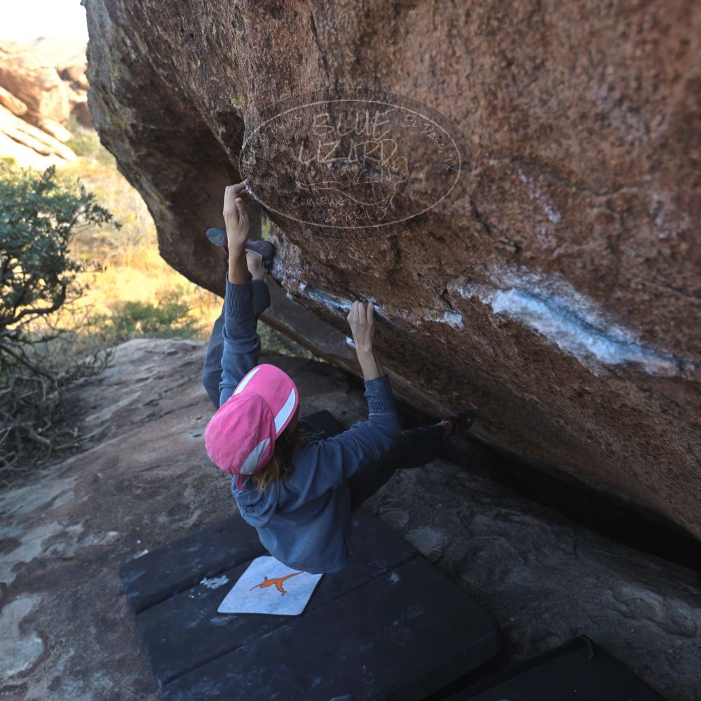 

Filename: SRM_20251128_1435000.jpg
Aperture: f/4.0
Shutter Speed: 1/200
Body: Canon EOS R6
Lens: Canon EF 16-35mm f/2.8 L