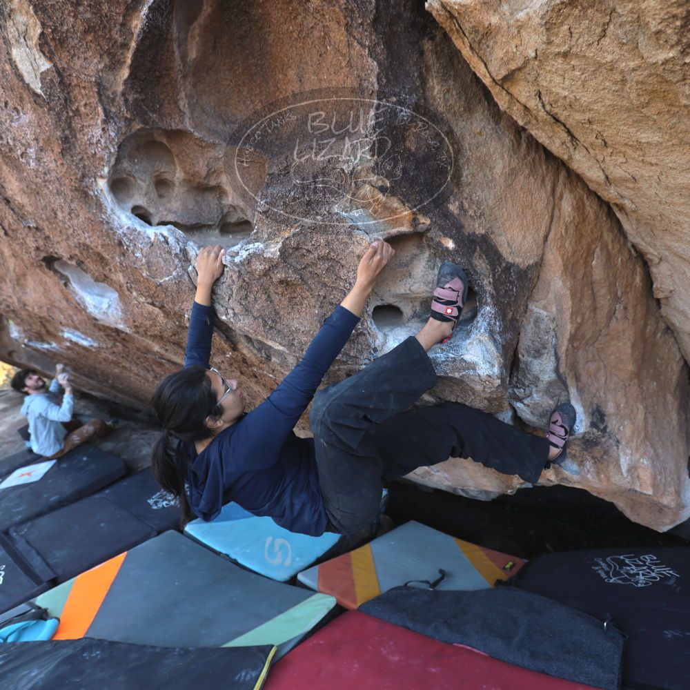 

Filename: SRM_20251128_1436210.jpg
Aperture: f/4.0
Shutter Speed: 1/100
Body: Canon EOS R6
Lens: Canon EF 16-35mm f/2.8 L