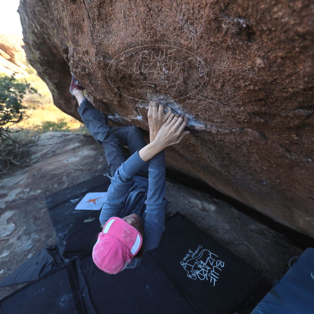 

Filename: SRM_20251128_1440490.jpg
Aperture: f/4.0
Shutter Speed: 1/160
Body: Canon EOS R6
Lens: Canon EF 16-35mm f/2.8 L