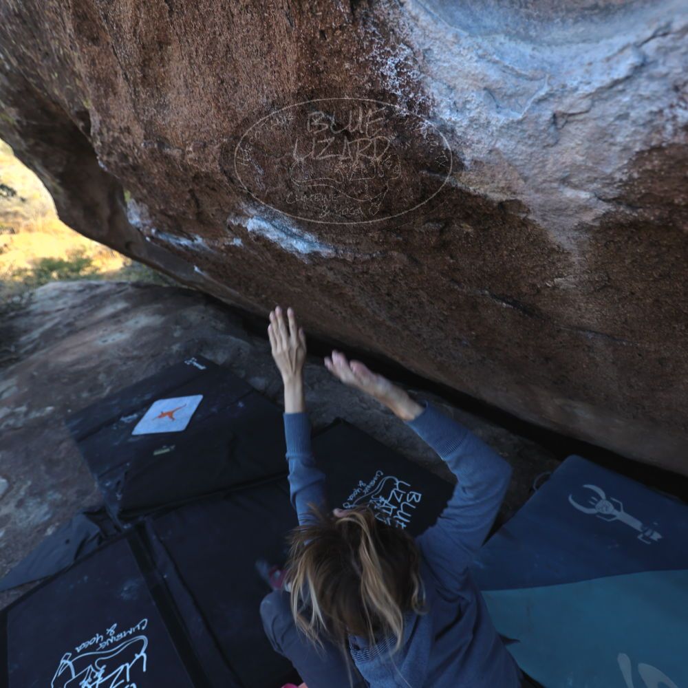 

Filename: SRM_20251128_1440521.jpg
Aperture: f/4.0
Shutter Speed: 1/200
Body: Canon EOS R6
Lens: Canon EF 16-35mm f/2.8 L