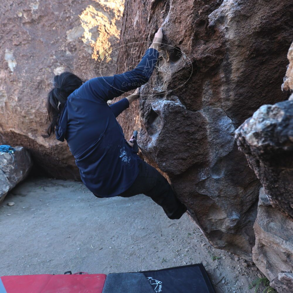 

Filename: SRM_20251128_1549590.jpg
Aperture: f/4.0
Shutter Speed: 1/60
Body: Canon EOS R6
Lens: Canon EF 16-35mm f/2.8 L