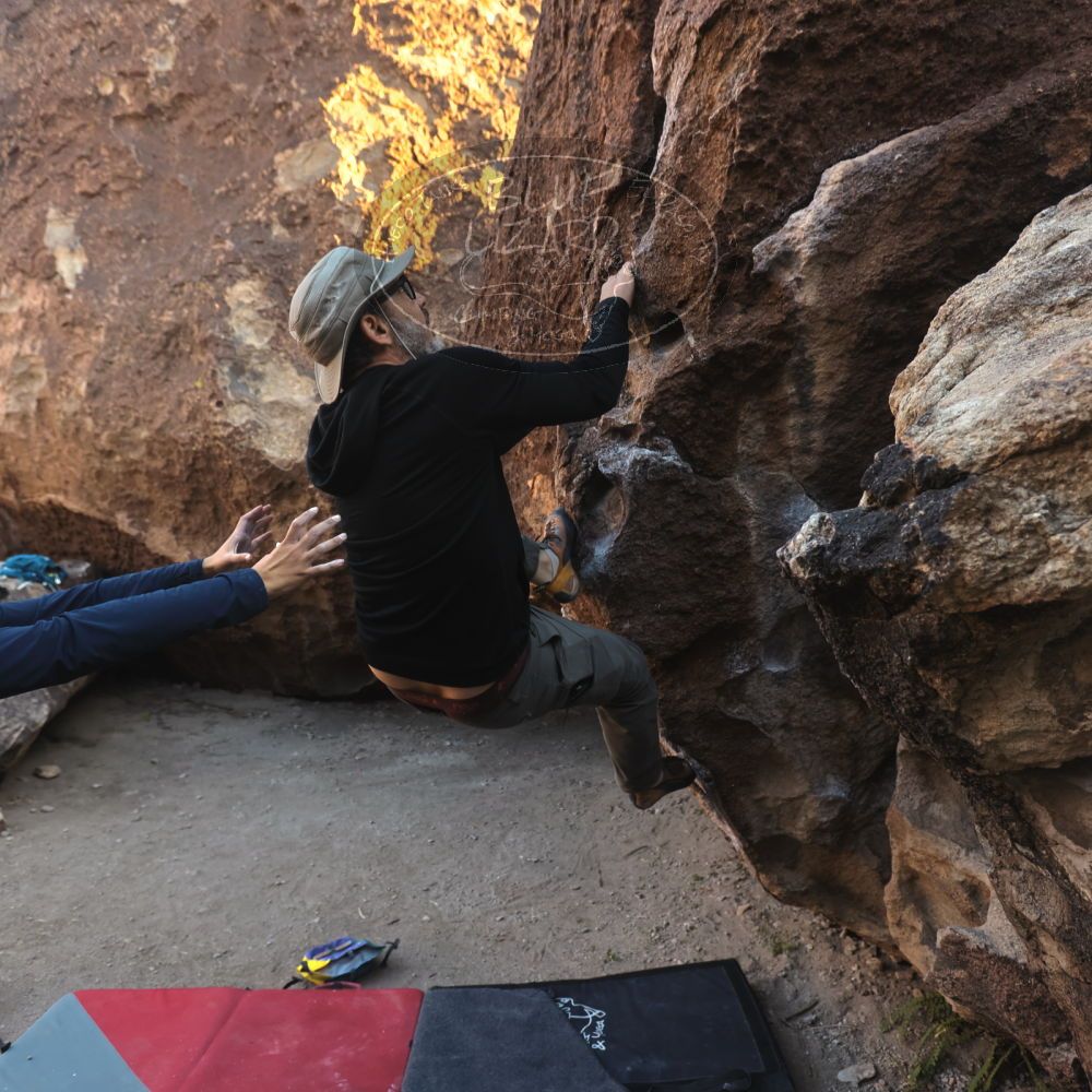 

Filename: SRM_20251128_1557360.jpg
Aperture: f/4.0
Shutter Speed: 1/320
Body: Canon EOS R6
Lens: Canon EF 16-35mm f/2.8 L