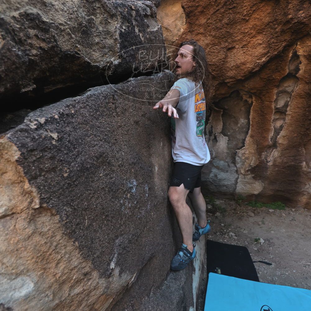 

Filename: SRM_20251128_1559110.jpg
Aperture: f/4.0
Shutter Speed: 1/320
Body: Canon EOS R6
Lens: Canon EF 16-35mm f/2.8 L