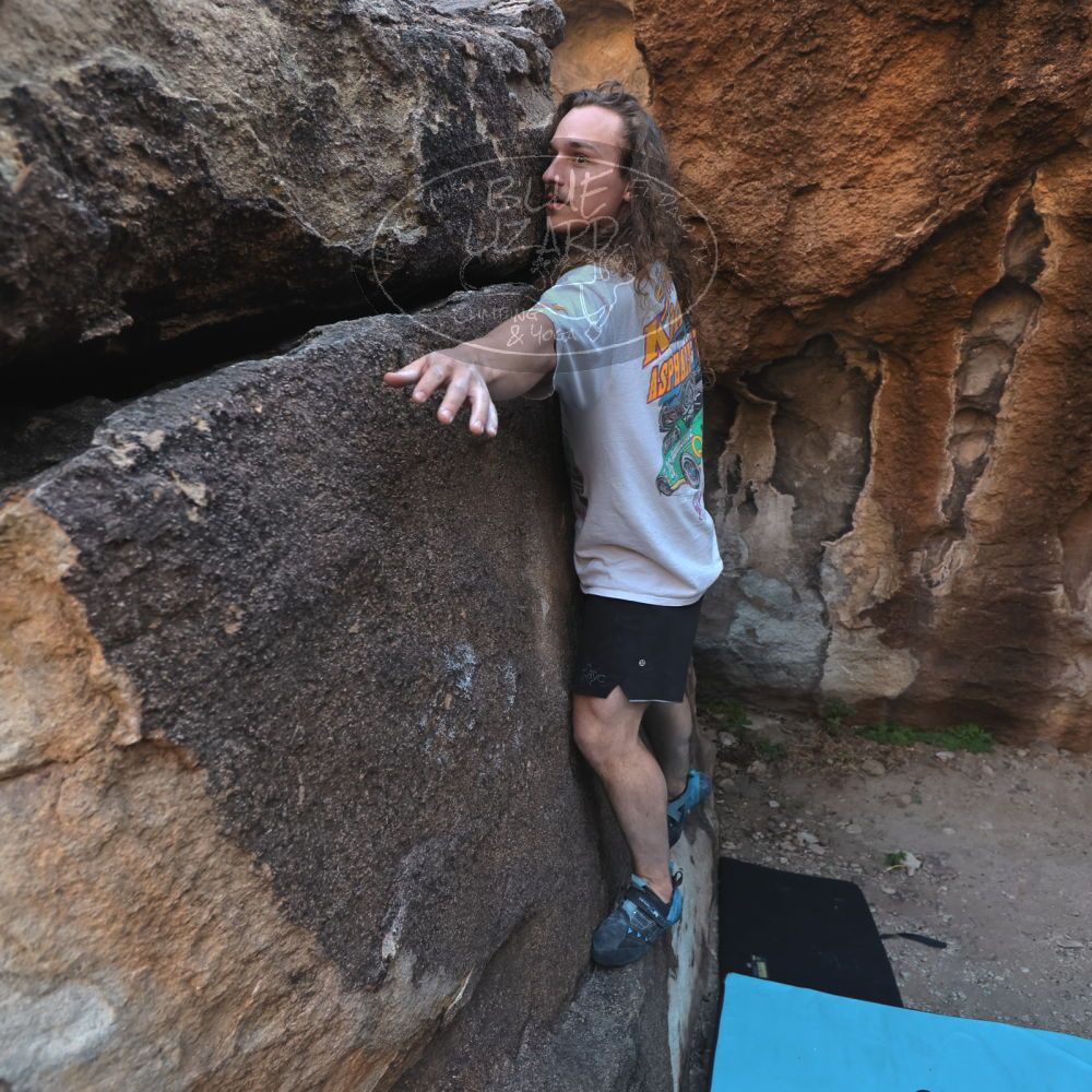 

Filename: SRM_20251128_1559130.jpg
Aperture: f/4.0
Shutter Speed: 1/320
Body: Canon EOS R6
Lens: Canon EF 16-35mm f/2.8 L