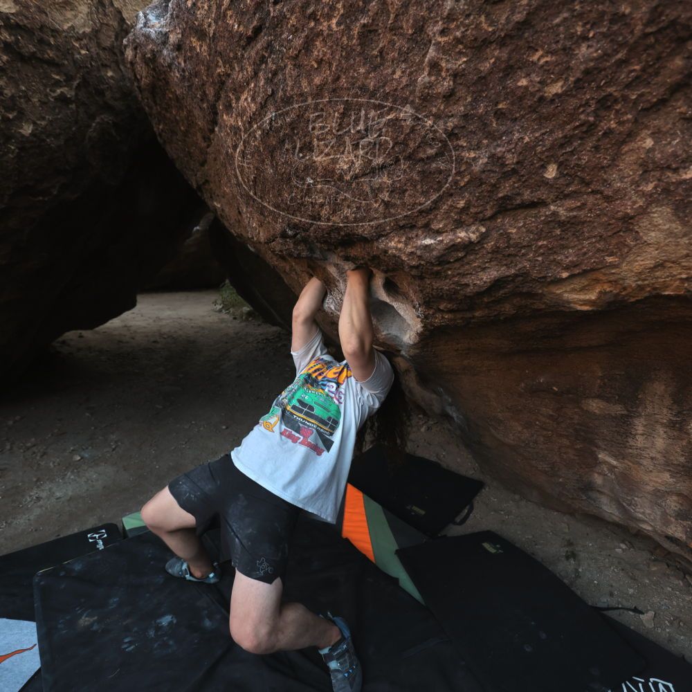 

Filename: SRM_20251128_1645380.jpg
Aperture: f/4.0
Shutter Speed: 1/250
Body: Canon EOS R6
Lens: Canon EF 16-35mm f/2.8 L