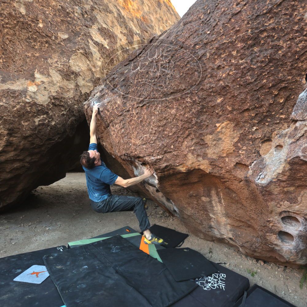 

Filename: SRM_20251128_1647360.jpg
Aperture: f/4.0
Shutter Speed: 1/250
Body: Canon EOS R6
Lens: Canon EF 16-35mm f/2.8 L