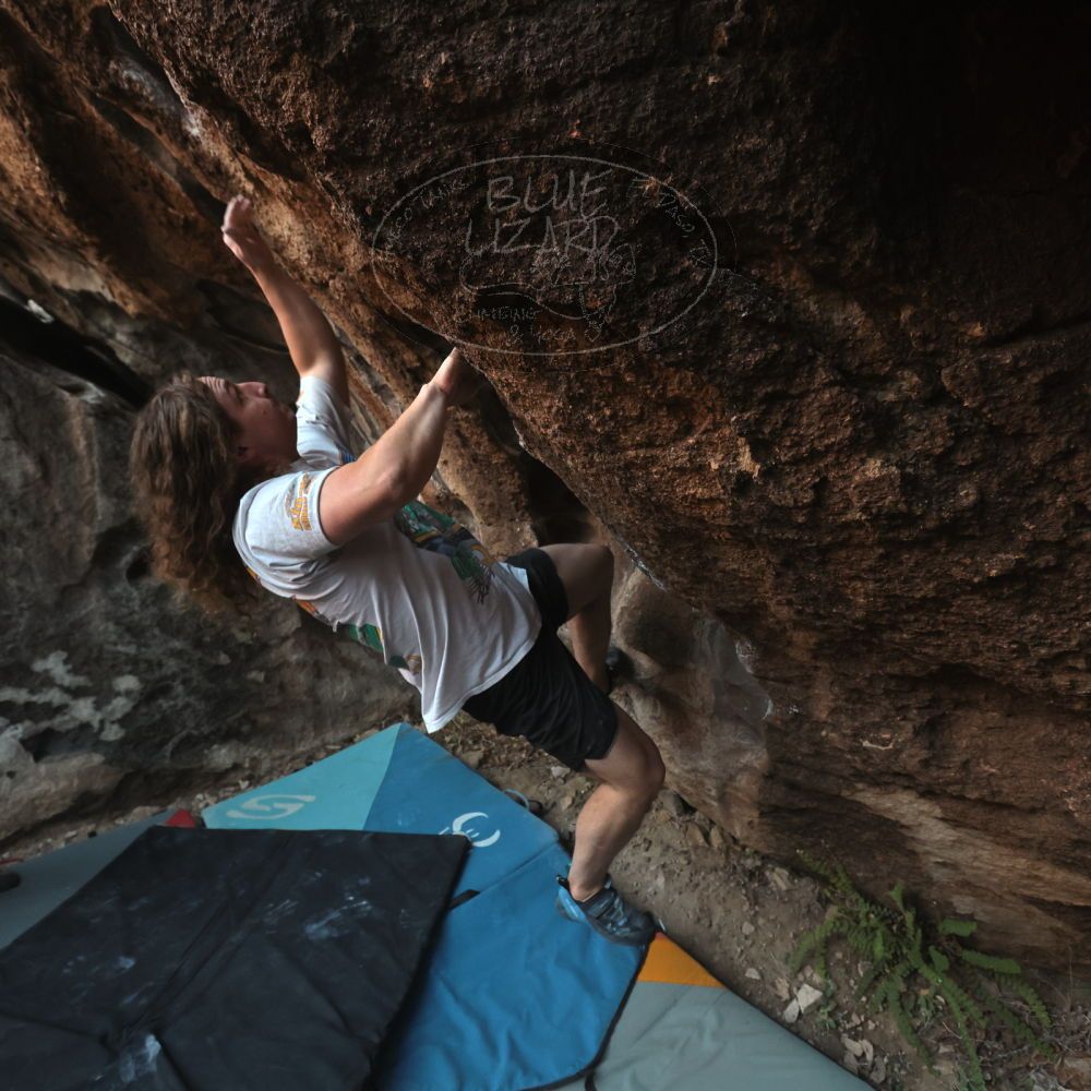 

Filename: SRM_20251128_1655060.jpg
Aperture: f/4.0
Shutter Speed: 1/320
Body: Canon EOS R6
Lens: Canon EF 16-35mm f/2.8 L