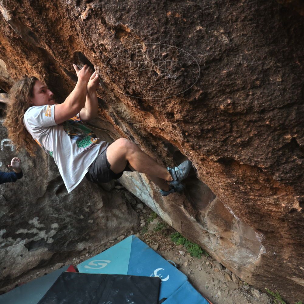 Filename: SRM_20251128_1655110.jpg
Aperture: f/4.0
Shutter Speed: 1/320
Body: Canon EOS R6
Lens: Canon EF 16-35mm f/2.8 L