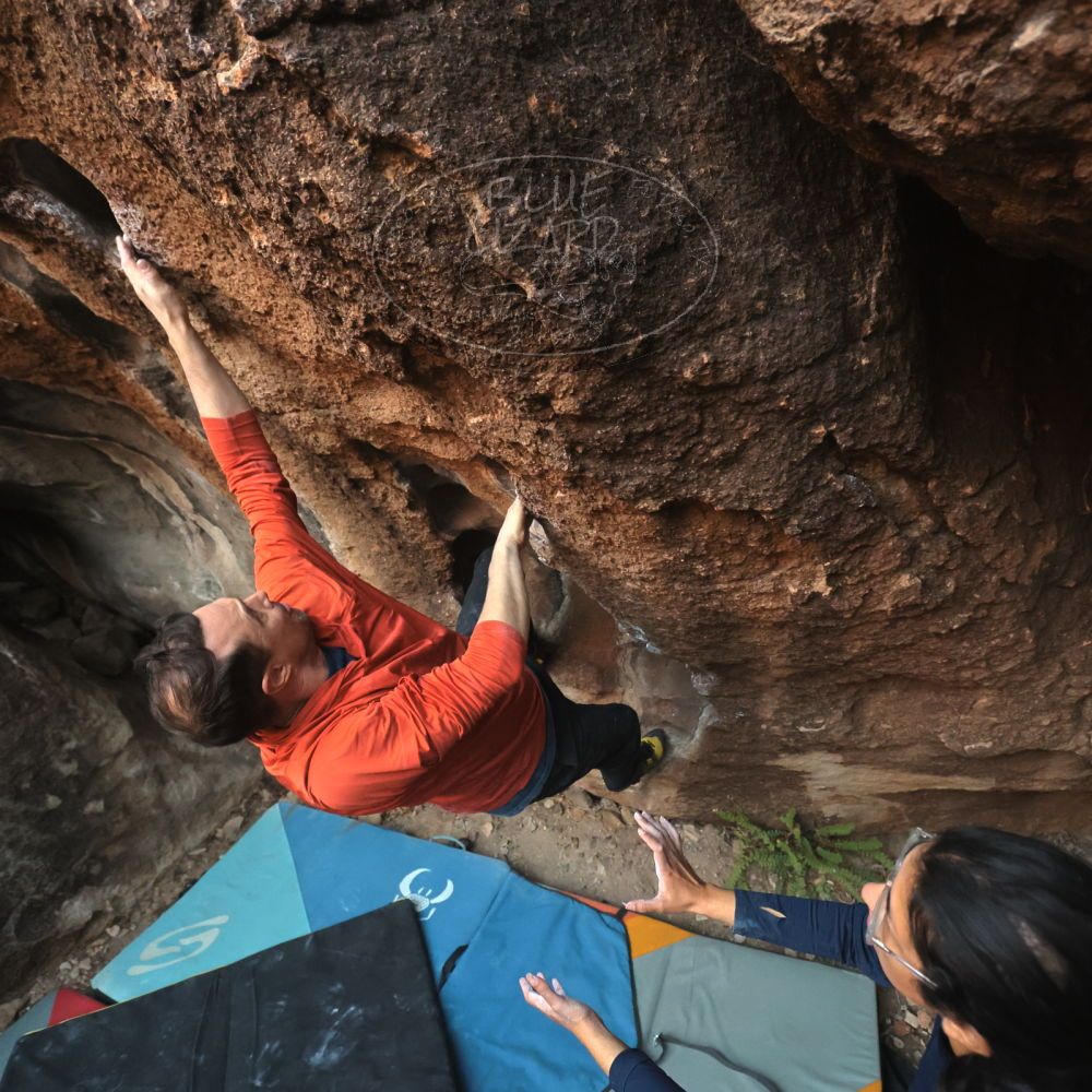 

Filename: SRM_20251128_1659390.jpg
Aperture: f/4.0
Shutter Speed: 1/320
Body: Canon EOS R6
Lens: Canon EF 16-35mm f/2.8 L