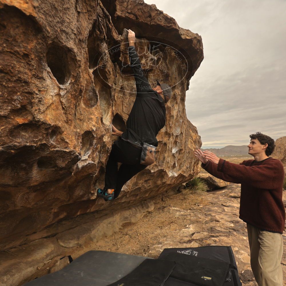 

Filename: SRM_20260101_1050220.jpg
Aperture: f/4.0
Shutter Speed: 1/640
Body: Canon EOS R6
Lens: Canon EF 16-35mm f/2.8 L