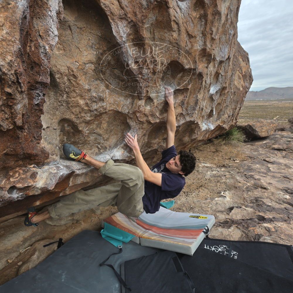 

Filename: SRM_20260101_1059210.jpg
Aperture: f/5.6
Shutter Speed: 1/500
Body: Canon EOS R6
Lens: Canon EF 16-35mm f/2.8 L