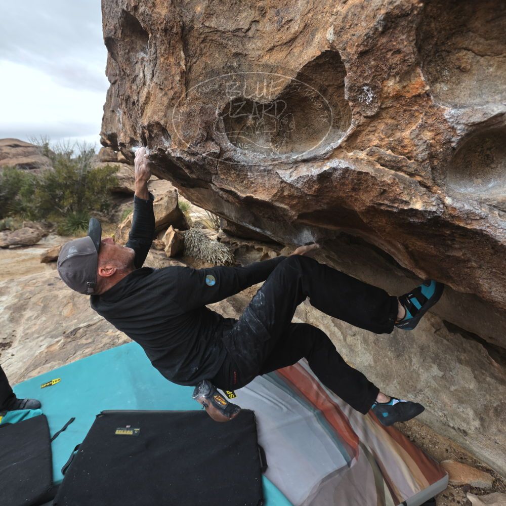 

Filename: SRM_20260101_1102020.jpg
Aperture: f/5.6
Shutter Speed: 1/500
Body: Canon EOS R6
Lens: Canon EF 16-35mm f/2.8 L