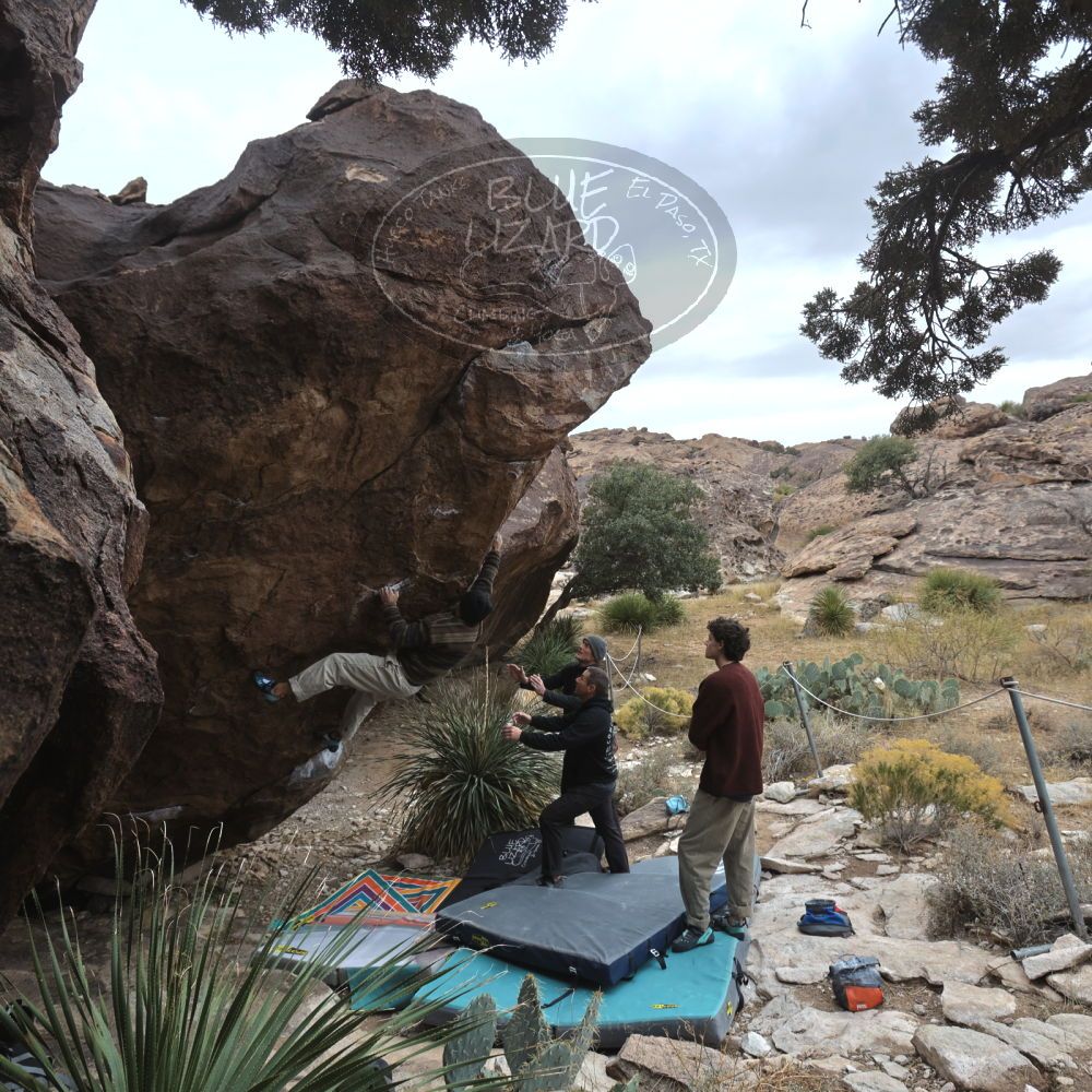 

Filename: SRM_20260101_1123310.jpg
Aperture: f/5.6
Shutter Speed: 1/500
Body: Canon EOS R6
Lens: Canon EF 16-35mm f/2.8 L