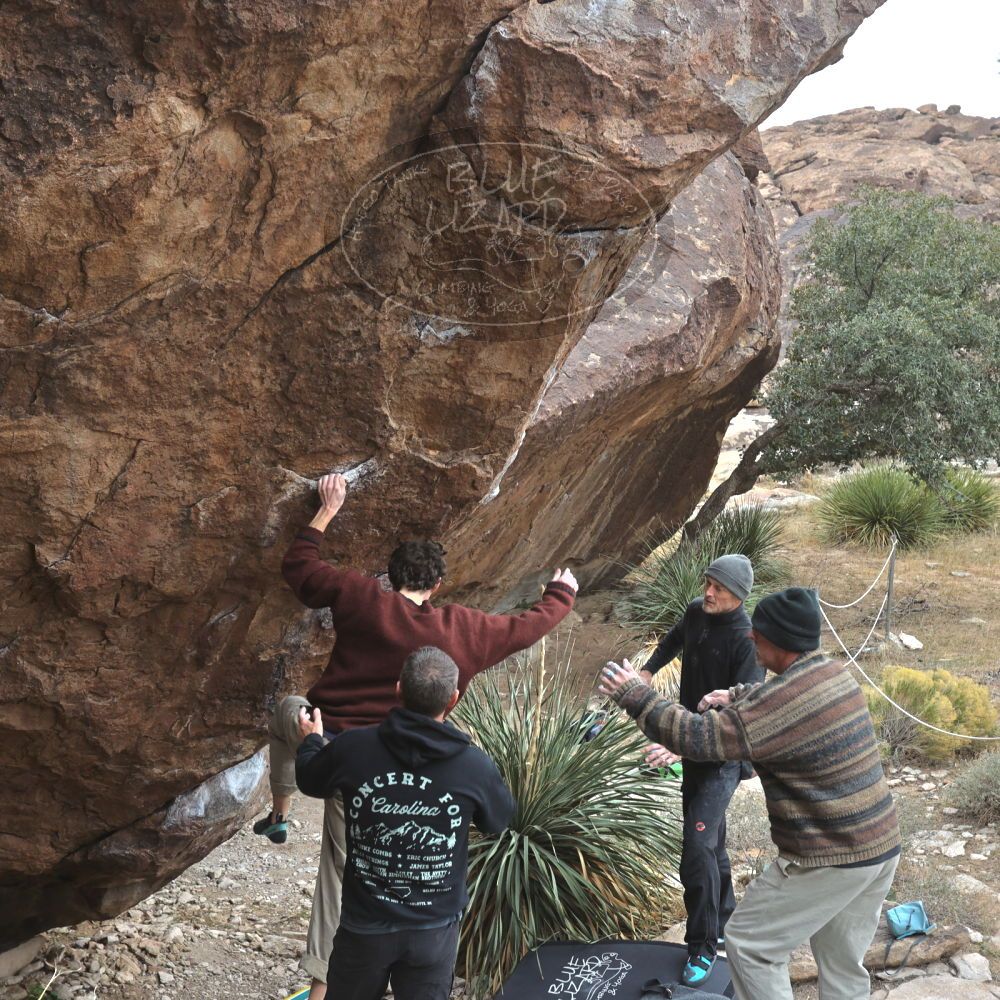 

Filename: SRM_20260101_1124100.jpg
Aperture: f/5.6
Shutter Speed: 1/500
Body: Canon EOS R6
Lens: Canon EF 16-35mm f/2.8 L