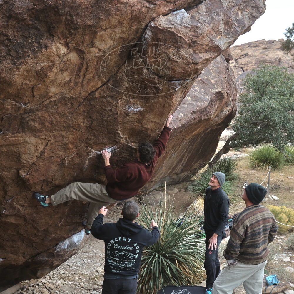 

Filename: SRM_20260101_1124260.jpg
Aperture: f/5.6
Shutter Speed: 1/500
Body: Canon EOS R6
Lens: Canon EF 16-35mm f/2.8 L