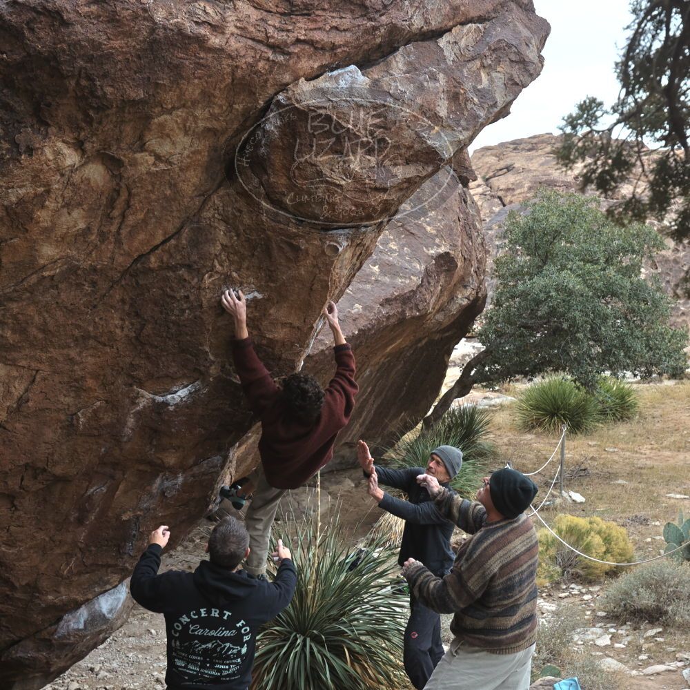 

Filename: SRM_20260101_1124310.jpg
Aperture: f/5.6
Shutter Speed: 1/500
Body: Canon EOS R6
Lens: Canon EF 16-35mm f/2.8 L