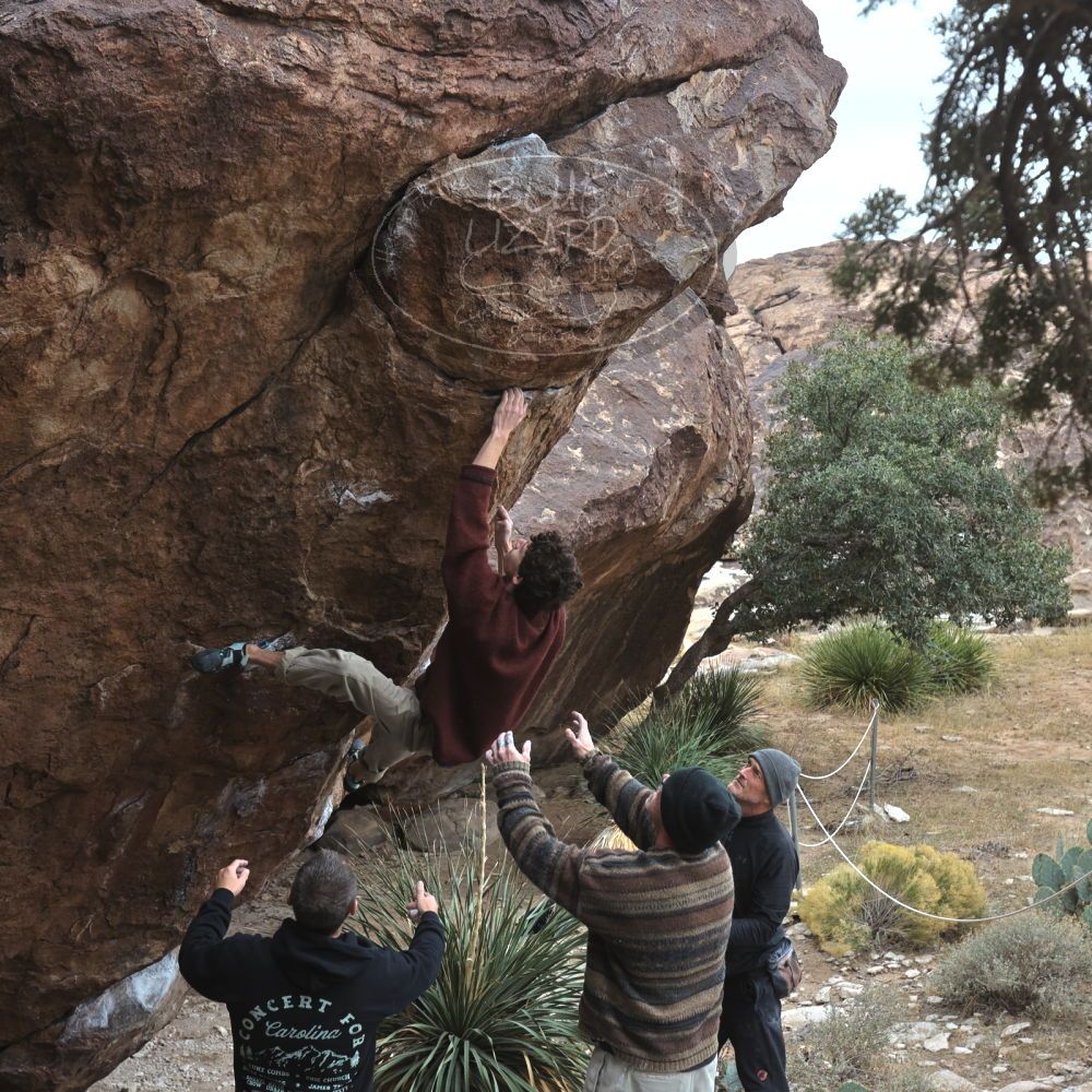 

Filename: SRM_20260101_1124350.jpg
Aperture: f/5.6
Shutter Speed: 1/500
Body: Canon EOS R6
Lens: Canon EF 16-35mm f/2.8 L