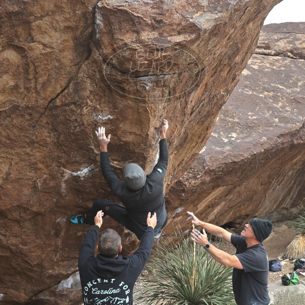 

Filename: SRM_20260101_1126140.jpg
Aperture: f/5.6
Shutter Speed: 1/500
Body: Canon EOS R6
Lens: Canon EF 16-35mm f/2.8 L