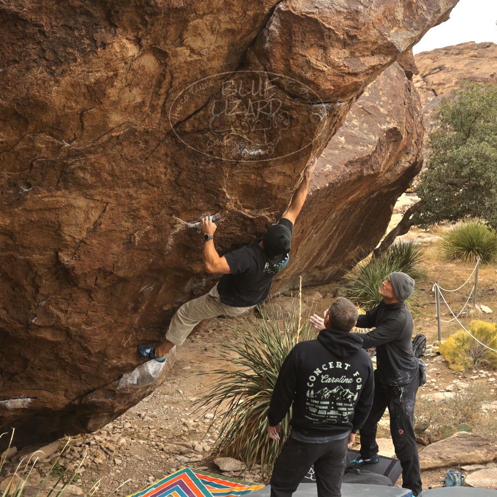 

Filename: SRM_20260101_1130050.jpg
Aperture: f/5.6
Shutter Speed: 1/500
Body: Canon EOS R6
Lens: Canon EF 16-35mm f/2.8 L