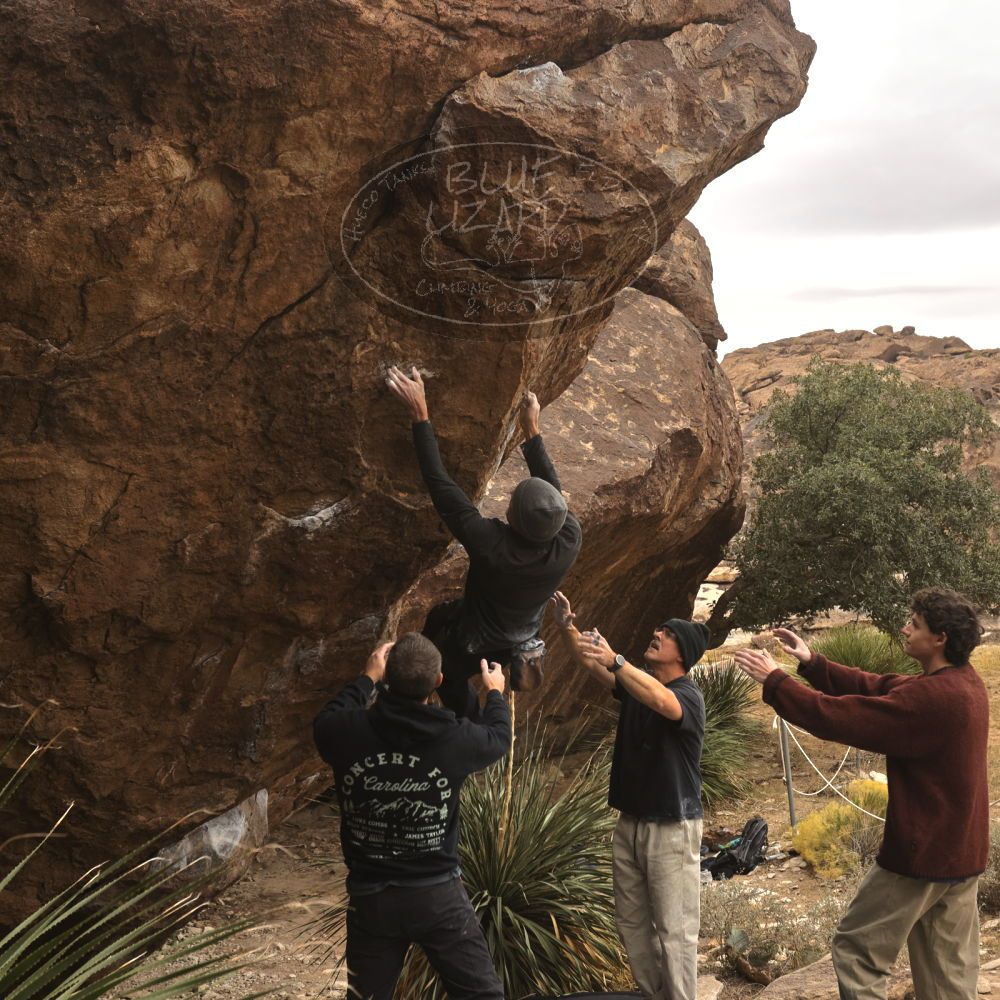 

Filename: SRM_20260101_1131310.jpg
Aperture: f/5.6
Shutter Speed: 1/500
Body: Canon EOS R6
Lens: Canon EF 16-35mm f/2.8 L