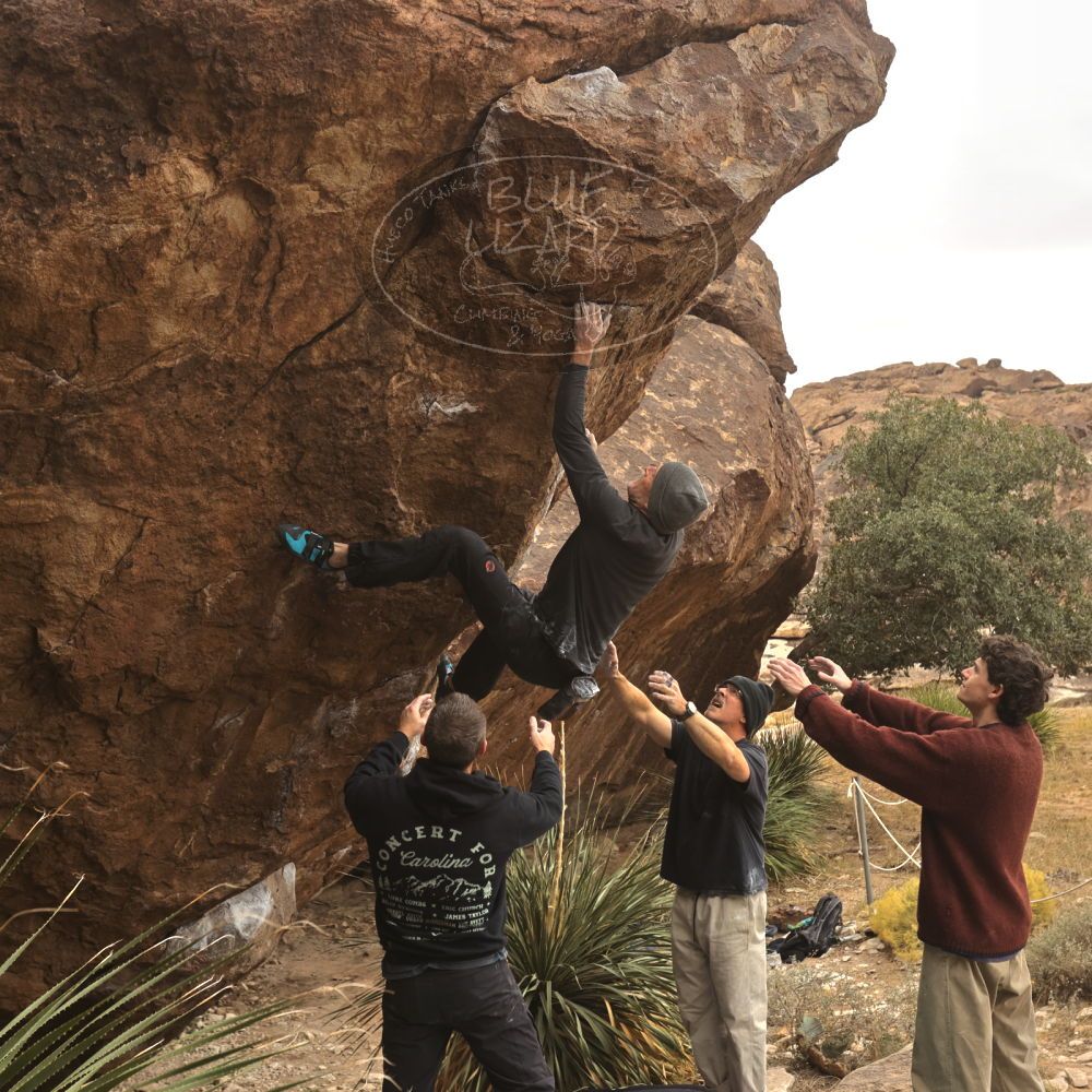 

Filename: SRM_20260101_1131360.jpg
Aperture: f/5.6
Shutter Speed: 1/500
Body: Canon EOS R6
Lens: Canon EF 16-35mm f/2.8 L