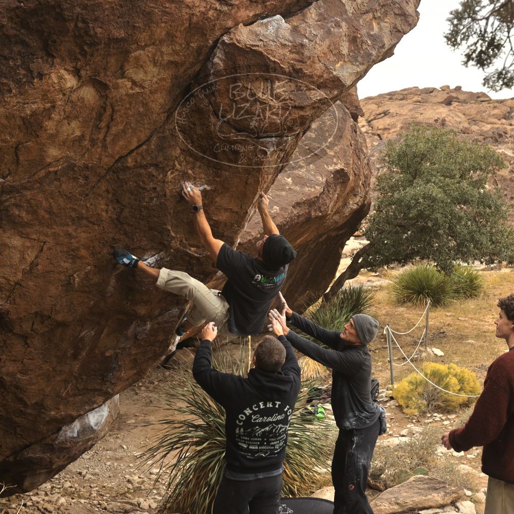 

Filename: SRM_20260101_1132330.jpg
Aperture: f/5.6
Shutter Speed: 1/500
Body: Canon EOS R6
Lens: Canon EF 16-35mm f/2.8 L