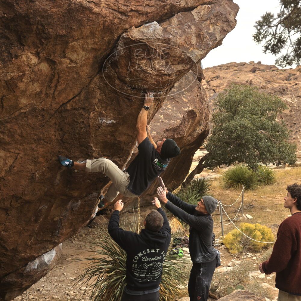 

Filename: SRM_20260101_1132350.jpg
Aperture: f/5.6
Shutter Speed: 1/500
Body: Canon EOS R6
Lens: Canon EF 16-35mm f/2.8 L