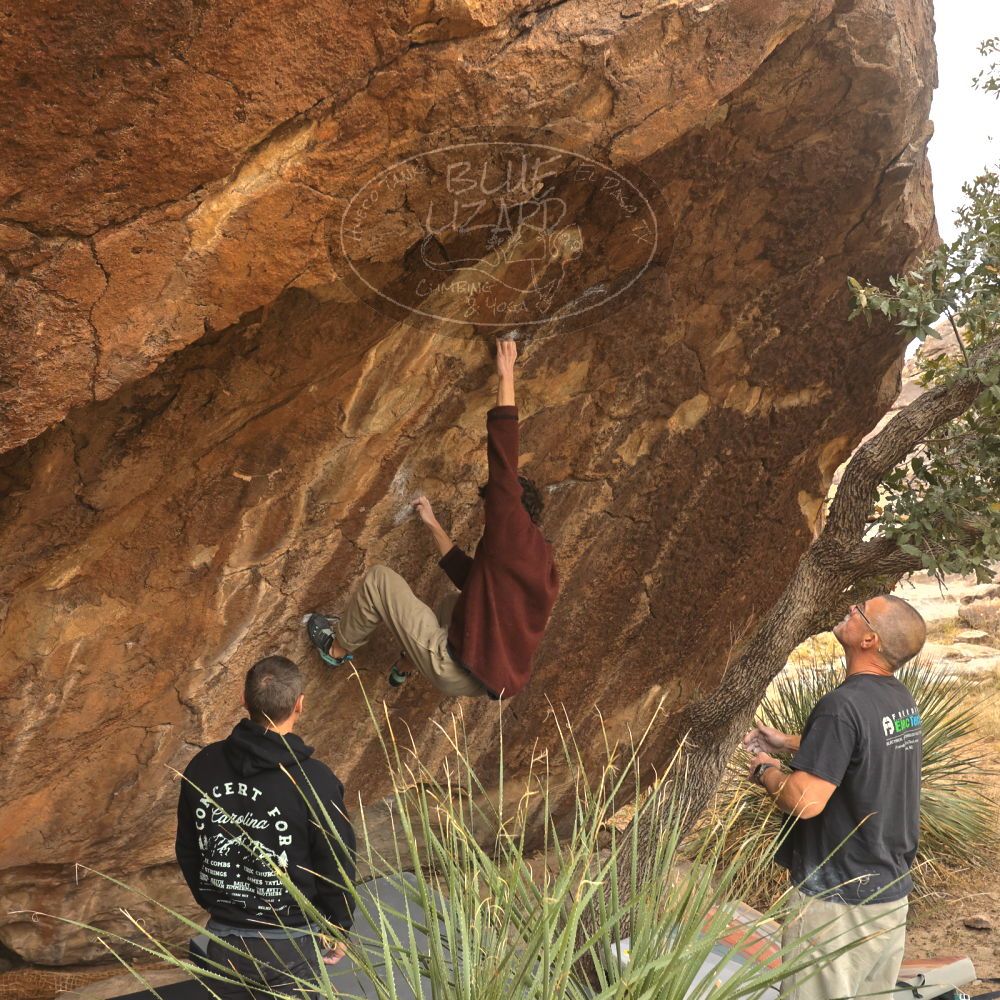 

Filename: SRM_20260101_1142510.jpg
Aperture: f/5.0
Shutter Speed: 1/500
Body: Canon EOS R6
Lens: Canon EF 16-35mm f/2.8 L