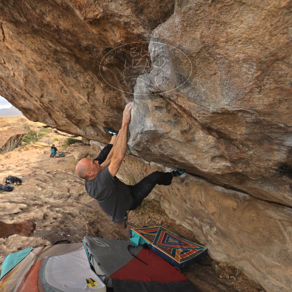 

Filename: SRM_20260101_1207000.jpg
Aperture: f/5.0
Shutter Speed: 1/500
Body: Canon EOS R6
Lens: Canon EF 16-35mm f/2.8 L