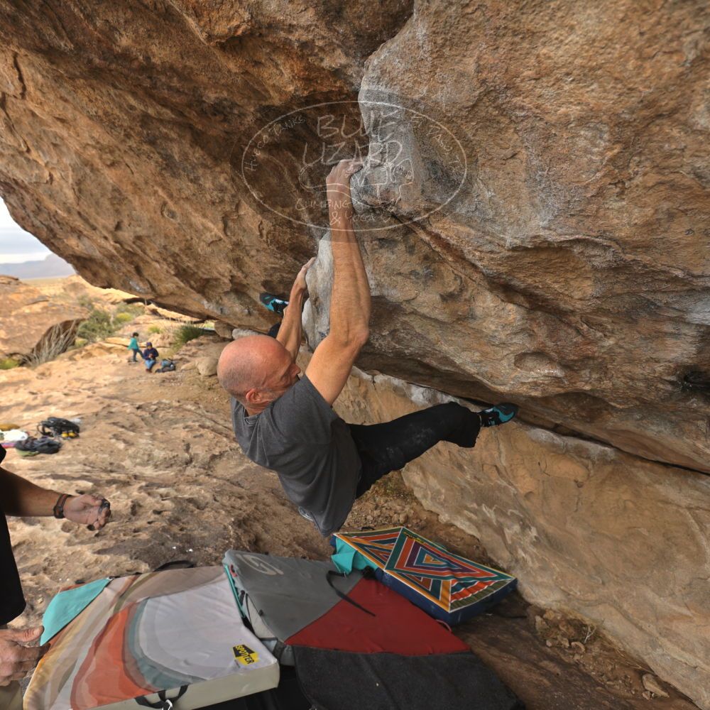 

Filename: SRM_20260101_1207070.jpg
Aperture: f/5.0
Shutter Speed: 1/500
Body: Canon EOS R6
Lens: Canon EF 16-35mm f/2.8 L