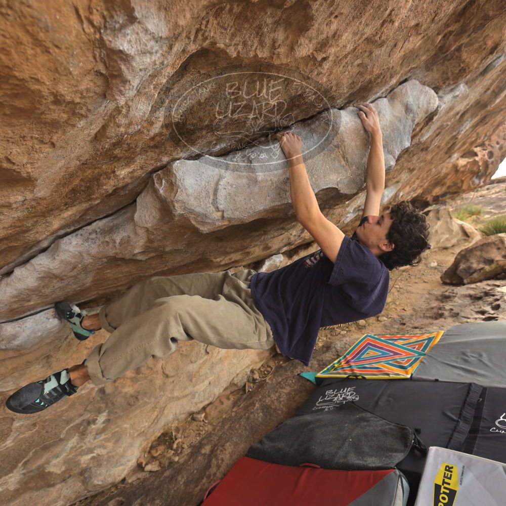 

Filename: SRM_20260101_1208050.jpg
Aperture: f/5.0
Shutter Speed: 1/500
Body: Canon EOS R6
Lens: Canon EF 16-35mm f/2.8 L