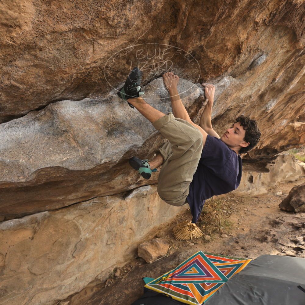 

Filename: SRM_20260101_1208130.jpg
Aperture: f/5.0
Shutter Speed: 1/500
Body: Canon EOS R6
Lens: Canon EF 16-35mm f/2.8 L