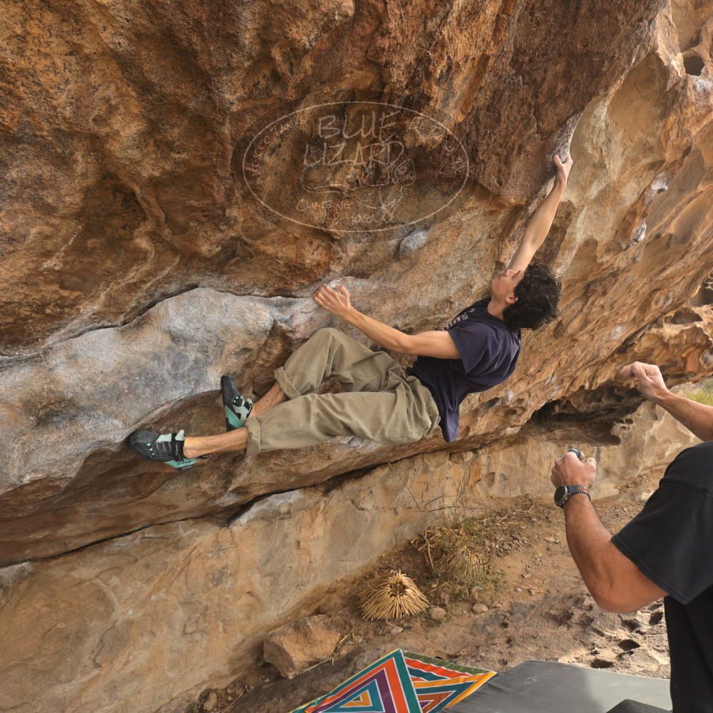 

Filename: SRM_20260101_1208260.jpg
Aperture: f/5.0
Shutter Speed: 1/500
Body: Canon EOS R6
Lens: Canon EF 16-35mm f/2.8 L