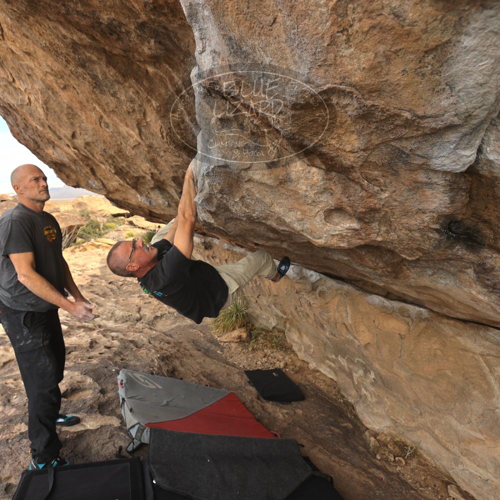 

Filename: SRM_20260101_1209490.jpg
Aperture: f/5.0
Shutter Speed: 1/500
Body: Canon EOS R6
Lens: Canon EF 16-35mm f/2.8 L