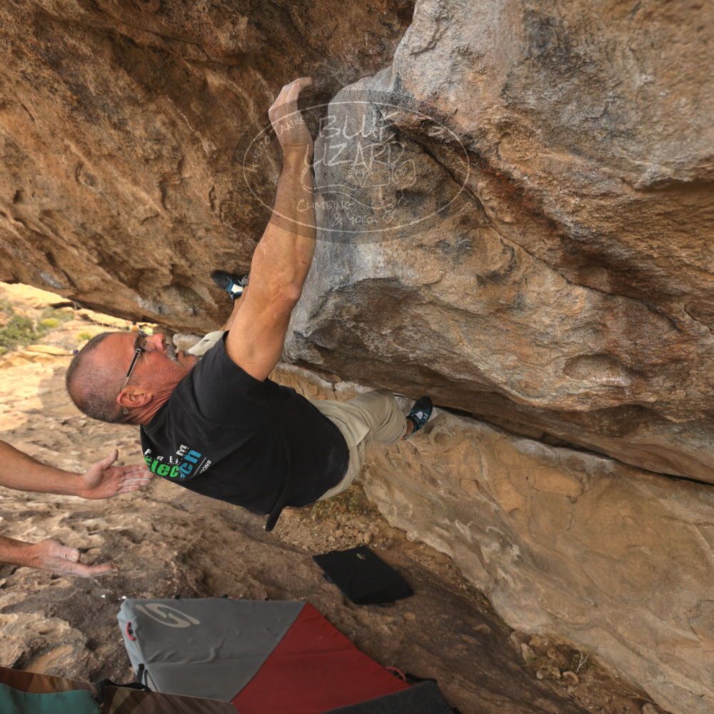 

Filename: SRM_20260101_1209540.jpg
Aperture: f/5.0
Shutter Speed: 1/500
Body: Canon EOS R6
Lens: Canon EF 16-35mm f/2.8 L