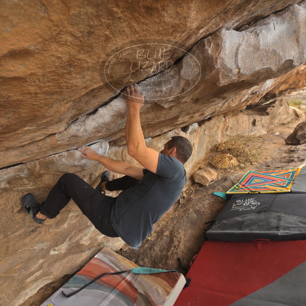 

Filename: SRM_20260101_1212160.jpg
Aperture: f/5.0
Shutter Speed: 1/500
Body: Canon EOS R6
Lens: Canon EF 16-35mm f/2.8 L