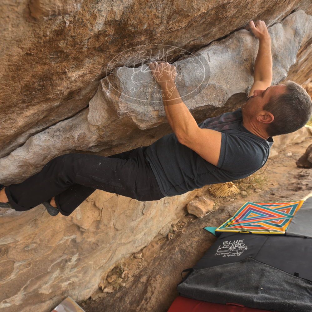 

Filename: SRM_20260101_1212230.jpg
Aperture: f/5.0
Shutter Speed: 1/500
Body: Canon EOS R6
Lens: Canon EF 16-35mm f/2.8 L