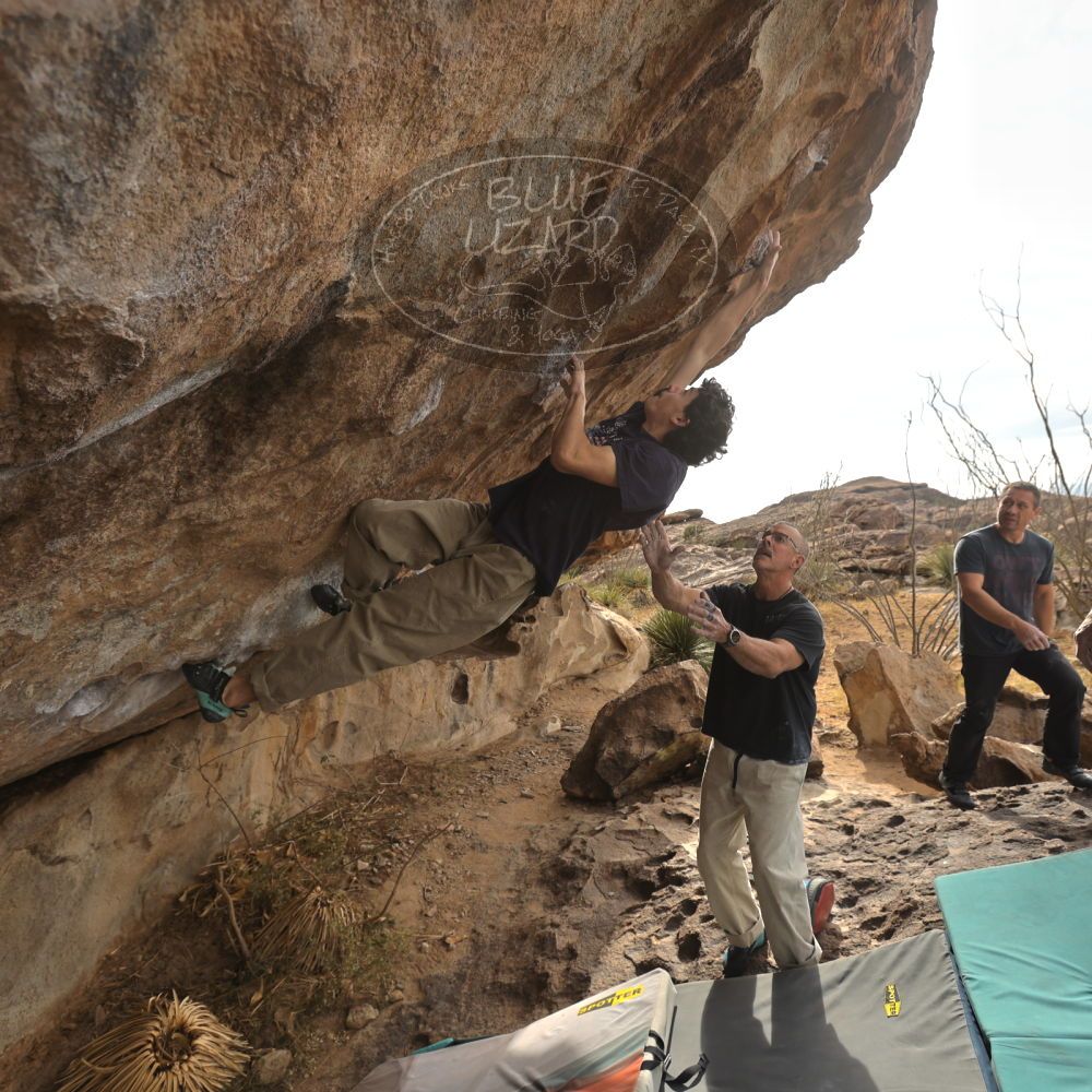 

Filename: SRM_20260101_1215041.jpg
Aperture: f/5.0
Shutter Speed: 1/500
Body: Canon EOS R6
Lens: Canon EF 16-35mm f/2.8 L