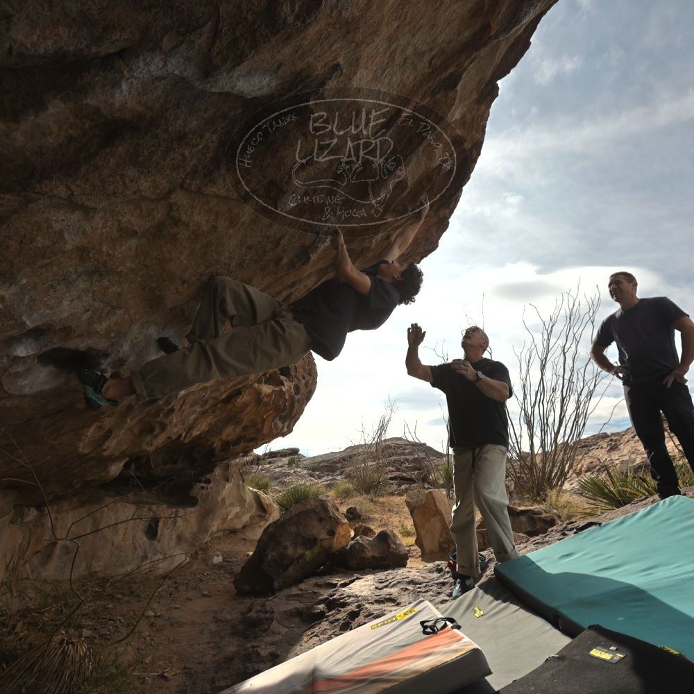 

Filename: SRM_20260101_1217270.jpg
Aperture: f/5.6
Shutter Speed: 1/800
Body: Canon EOS R6
Lens: Canon EF 16-35mm f/2.8 L