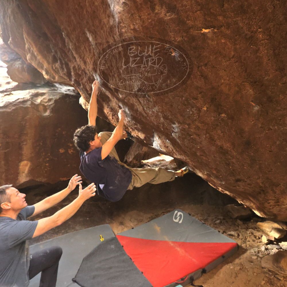 

Filename: SRM_20260101_1343110.jpg
Aperture: f/5.6
Shutter Speed: 1/640
Body: Canon EOS R6
Lens: Canon EF 16-35mm f/2.8 L