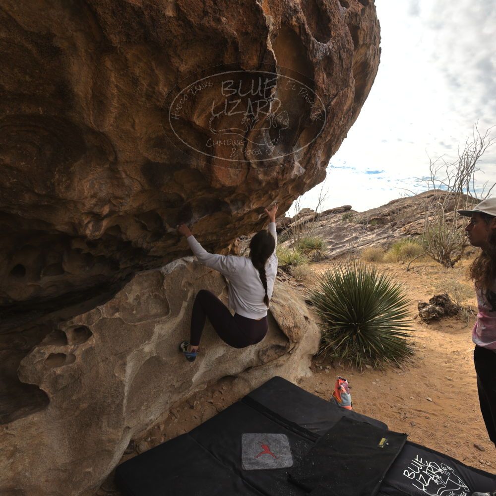 

Filename: SRM_20260104_1009220.jpg
Aperture: f/5.6
Shutter Speed: 1/500
Body: Canon EOS R6
Lens: Canon EF 16-35mm f/2.8 L