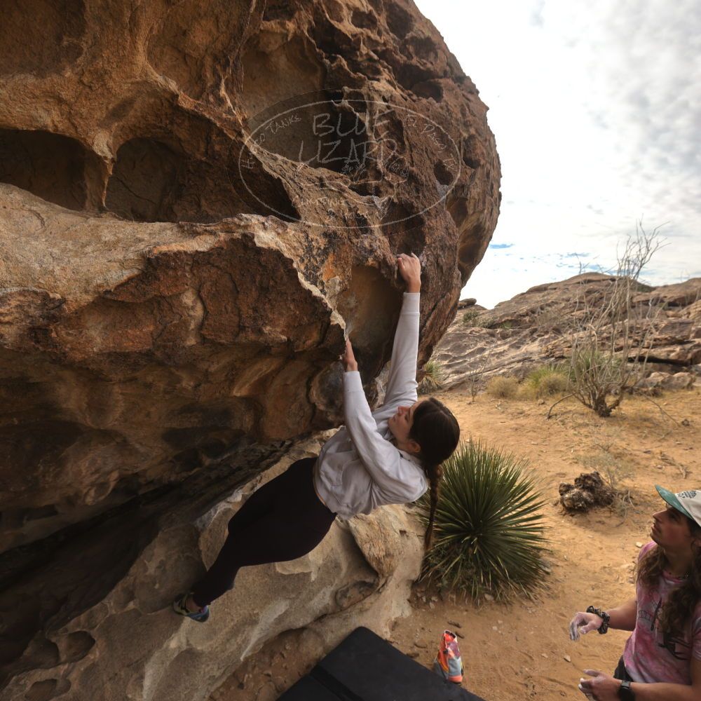 

Filename: SRM_20260104_1009400.jpg
Aperture: f/5.6
Shutter Speed: 1/500
Body: Canon EOS R6
Lens: Canon EF 16-35mm f/2.8 L