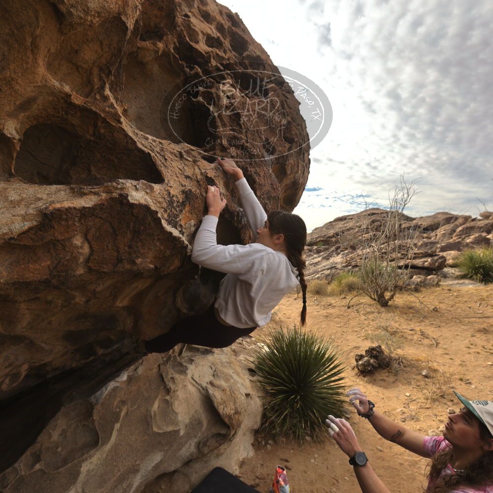 

Filename: SRM_20260104_1009500.jpg
Aperture: f/5.6
Shutter Speed: 1/500
Body: Canon EOS R6
Lens: Canon EF 16-35mm f/2.8 L