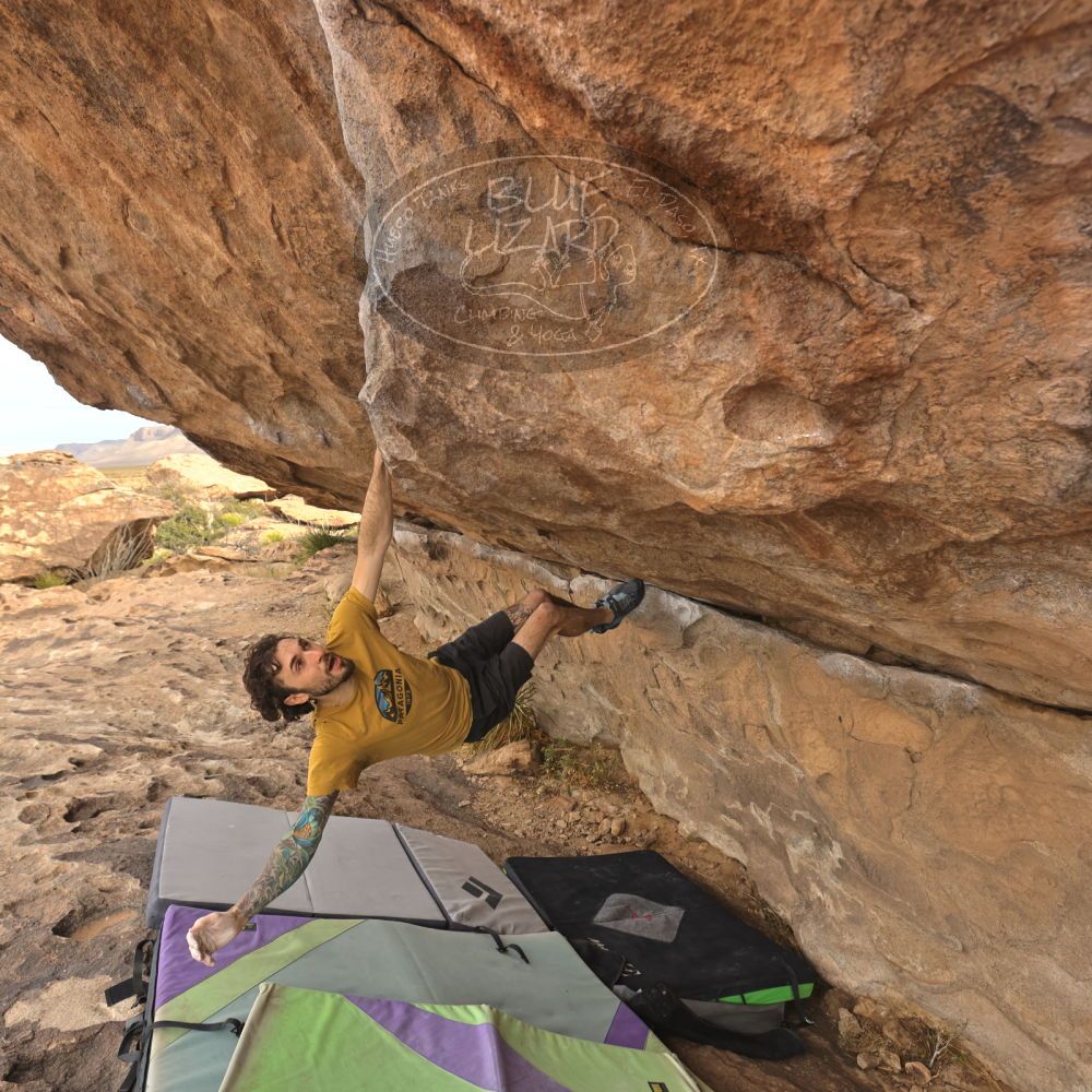 

Filename: SRM_20260104_1010250.jpg
Aperture: f/5.6
Shutter Speed: 1/500
Body: Canon EOS R6
Lens: Canon EF 16-35mm f/2.8 L