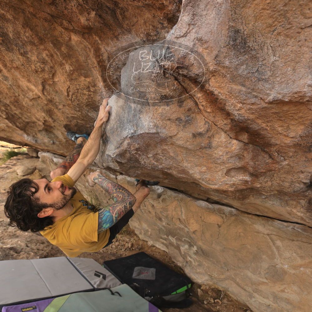 

Filename: SRM_20260104_1010360.jpg
Aperture: f/5.6
Shutter Speed: 1/500
Body: Canon EOS R6
Lens: Canon EF 16-35mm f/2.8 L