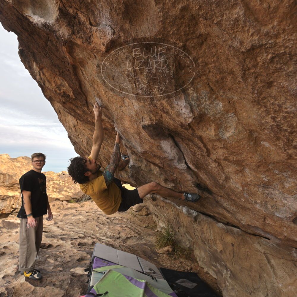 

Filename: SRM_20260104_1010490.jpg
Aperture: f/5.6
Shutter Speed: 1/500
Body: Canon EOS R6
Lens: Canon EF 16-35mm f/2.8 L