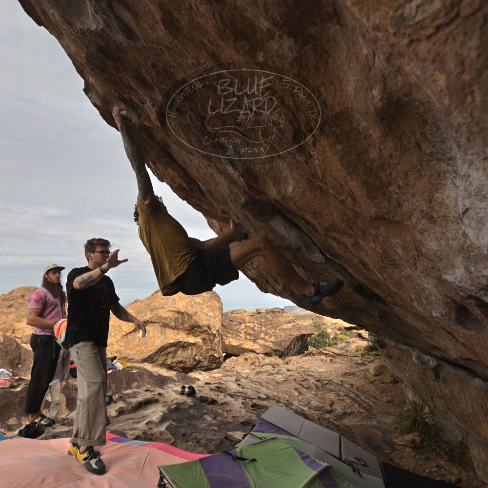 

Filename: SRM_20260104_1011060.jpg
Aperture: f/5.6
Shutter Speed: 1/500
Body: Canon EOS R6
Lens: Canon EF 16-35mm f/2.8 L